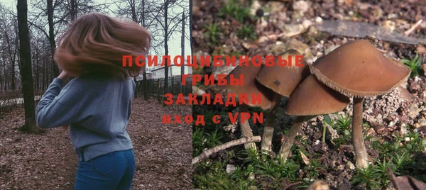 ПСИЛОЦИБИНОВЫЕ ГРИБЫ Армянск
